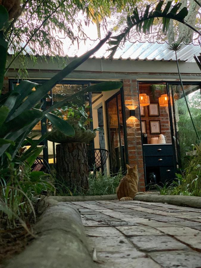 The Secret Garden Hideaway Apartment Mossel Bay Bagian luar foto